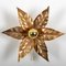 Willy Daro Style Brass Flower Sconce from Massive Lighting, 1970s 1