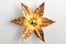 Willy Daro Style Brass Flower Sconce from Massive Lighting, 1970s, Image 8