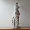 Antique Plaster Reduction of Venus De Milo Statue, Image 4