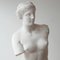 Antique Plaster Reduction of Venus De Milo Statue, Image 6