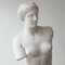 Scultura antica in gesso di Venus De Milo, Immagine 6