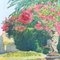 Rosa Lorbeerbäume im Park - Côtes Dazur, 1930er 10