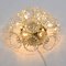 Starburst Sputnik Glass Flower Wall Lights, Set of 2 3