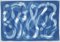 Extra Large Handmade Cyanotype Print of Blue Abstract Calligraphy, Zen Monotype 2021 1