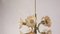 Mid-Century Brass & Glass Ceiling Lamp from Sische Leuchten 3