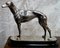 Versilberte Greyhound Trophy 18