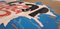 Serigrafia e Collage, Mimmo Rotella, Pepsi, Immagine 7