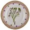 Flora Danica Dinner Plate in Hand-Painted Porcelain from Royal Copenhagen 1