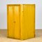 Armoire Industrielle en Fer, 1950s 1