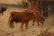 British 19th Century Artist, Oil on Canvas, Scottish Highland Cattle, 1880s 4