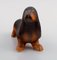 Dog in Glazed Ceramics by Lisa Larson for K-studion / Gustavsberg 3