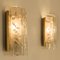 Structured Blown Glass and Brass Wall Sconce from Doria, 1960s, Image 7