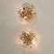 Glass and Brass Floral Wall Lights from Ernst Palme, 1970s, Set of 2 12