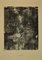 Jean Dubuffet - Nesting - Litografia originale - 1959, Immagine 1