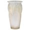 Opalescent Ceylon Vase by Rene Lalique 2
