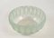 Opalescent Perruches Bowl 2