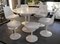 Tulip Chairs von Eero Saarinen für Knoll International, 4er Set 9