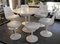 Tulip Table by Eero Saarinen & International Knoll, Image 18