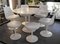 Tulip Tisch von Eero Saarinen & International Knoll 18