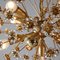 German Chandelier from Palwa, 1970s, Image 3