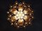 Lámpara de araña italiana de latón y cristal de Murano con 36 pétalos en ámbar, 1988, Imagen 9