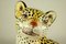 Ceramic Leopard / Cheetah Baby Hand Painted Figurine, Italy, 1960s, Image 6