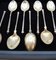Small Vermeil & Solid Silver Gilded Spoons, Set of 12 2
