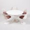 Tulip Dining Table with 5 Chairs 1