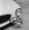 Pare-Choc Maserati, Fibre de Gélatine Argentée, 1956 1