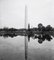 Washington Monument, 1900, Silver Gelatin Fibre Print, Oversized 1900 1