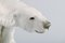 Large Art Deco Porcelain Figurine of Polar Bear, Image 7