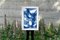 Jazzy Fifties Shapes, Blue Tones Vibrant Forms, Monotype, Cyanotype on Paper, 2021, Image 2
