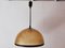 Lámpara de techo cúpula vintage de fibra de vidrio de Studio Tecno Design para Luci Italia, Imagen 5
