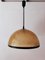 Vintage Fiberglass Dome Ceiling Lamp by Studio Tecno Design for Luci Italia 10
