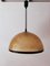 Lámpara de techo cúpula vintage de fibra de vidrio de Studio Tecno Design para Luci Italia, Imagen 1