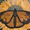 Mesa de mármol Monarch Butterfly inglesa vintage de Pietra Dura, década de 2000, Imagen 6