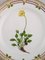 Flora Danica Porcelain Lunch Plate with Hand-Painted Flowers from Royal Copenhagen 2