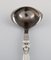 Cactus Sauce Spoon in Sterling Silver and Stainless Steel from Georg Jensen 3