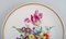 Antique Plate in Hand-Painted Porcelain with Floral Motifs from Meissen 2