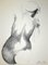 Emilio Greco, Nude from the Back, Original China Ink Drawing, 1972, Immagine 1