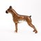 Figura de porcelana de un perro Boxer en estilo de porcelana de Copenhague, Imagen 3