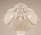 Vaso antico in porcellana bianca di KPM, Germania, Immagine 2