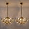 Crystal and Gilded Brass Italian Light Fixtures from Stilkronen, Set of 2 3