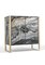 Aida Cabinet by Marmi Serafini, Image 2