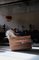 Poltrona Zoumey in legno di noce massiccio di Arno Declercq, Immagine 3