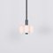 Polished Nickel 6 Pendant Light from Schwung 6