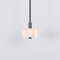 Polished Nickel 6 Pendant Light from Schwung, Image 6