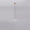 Glass Globe Pendant Light 30 from Schwung 3