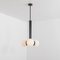 Polished Nickel Pendant Light from Schwung 7