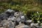 Tazze bianche e nere di Craig Barrow, set di 6, Immagine 6